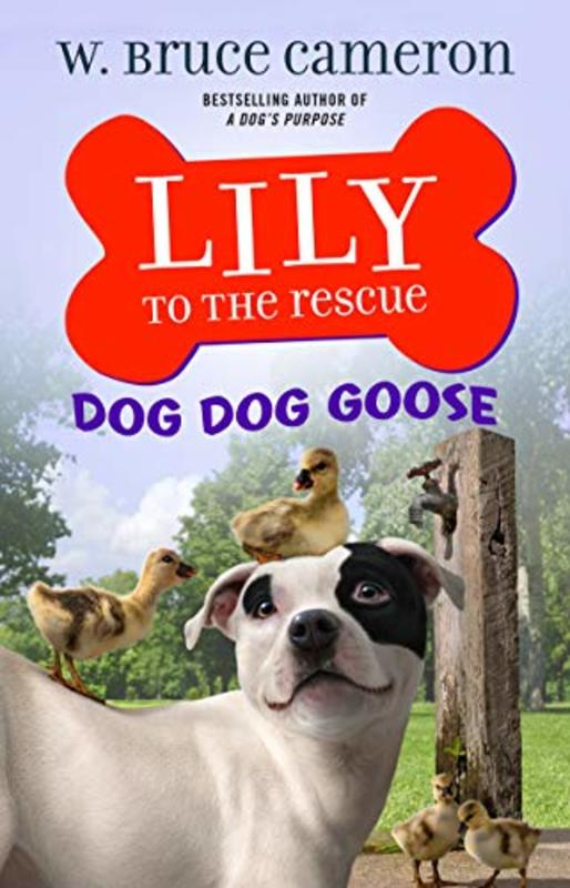 Book cover for "Dog Dog Goose" by W Bruce Cameron