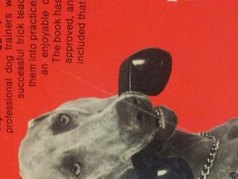 Book cover for "Dog Tricks" by Carol Lea Benjamin