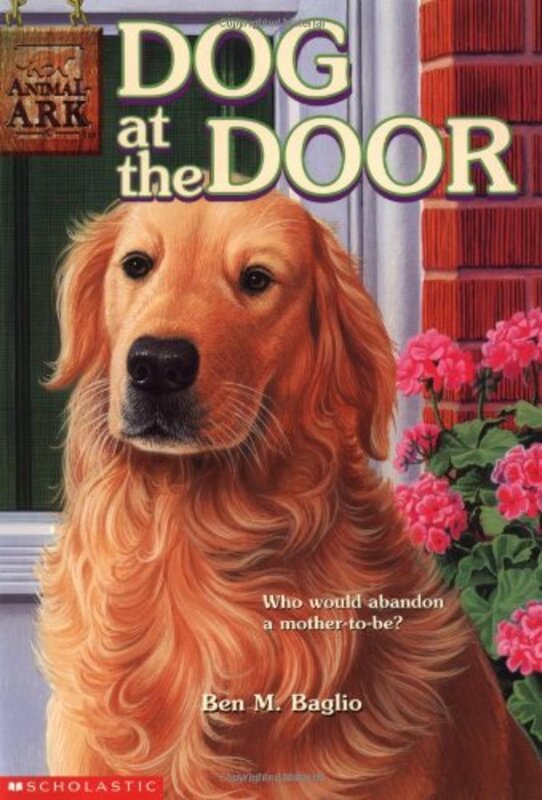 Book cover for "Dog at the Door" by Lucy Daniels