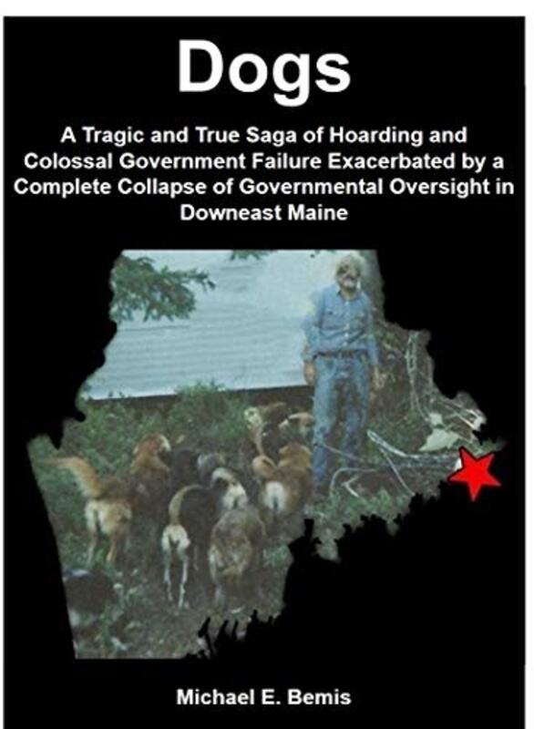 Michael E Bemis book cover