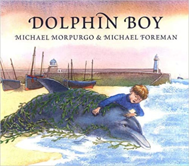 Book cover for "Dolphin Boy" by Michael Morpurgo