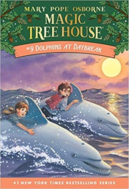 Book cover for "Dolphins at Daybreak" by Mary Pope Osborne