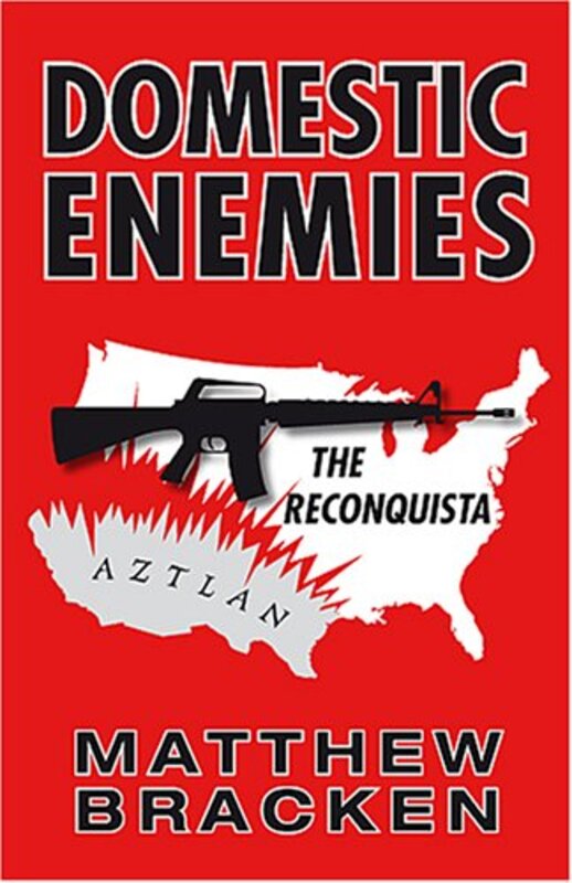 Book cover for "Domestic Enemies" by Matthew Bracken