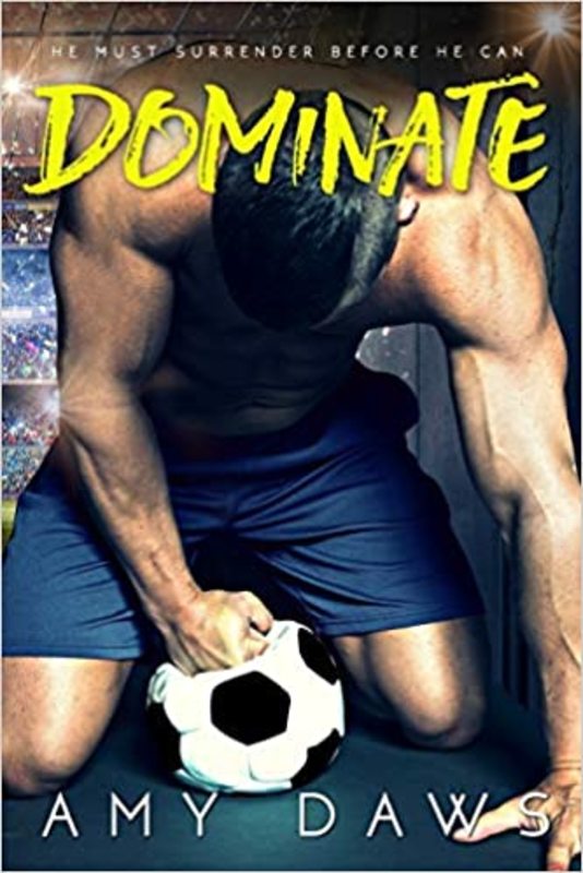 Harris Brothers book cover