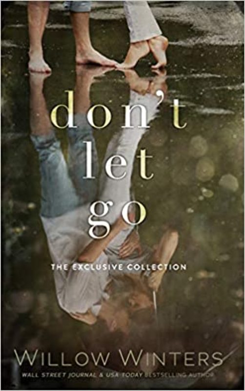 Book cover for "Don't Let Go" by Willow Winters