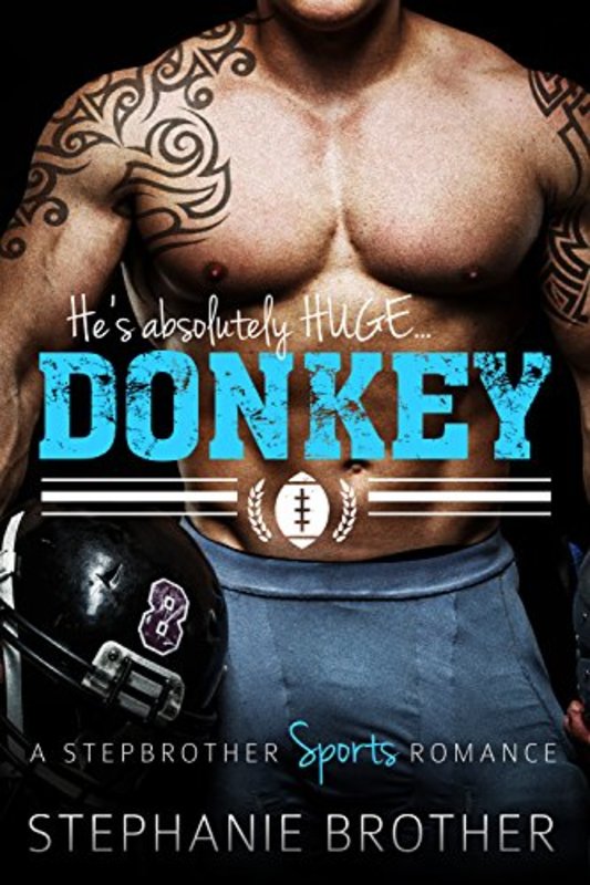 Book cover for "Donkey" by Stephanie Brother