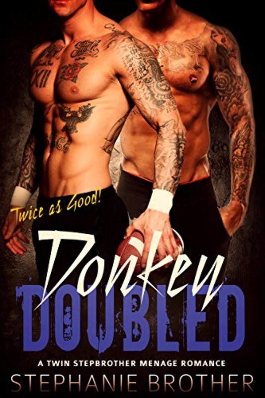 Book cover for "Donkey Doubled" by Stephanie Brother