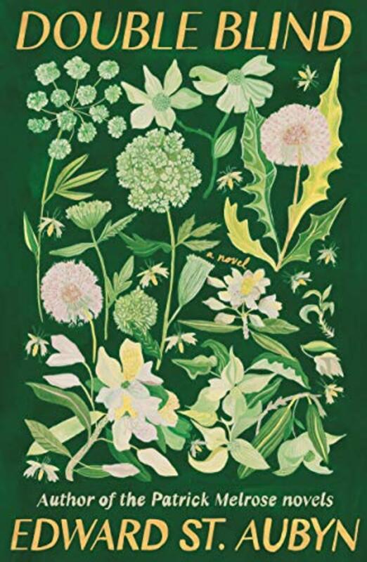 Edward St Aubyn book cover