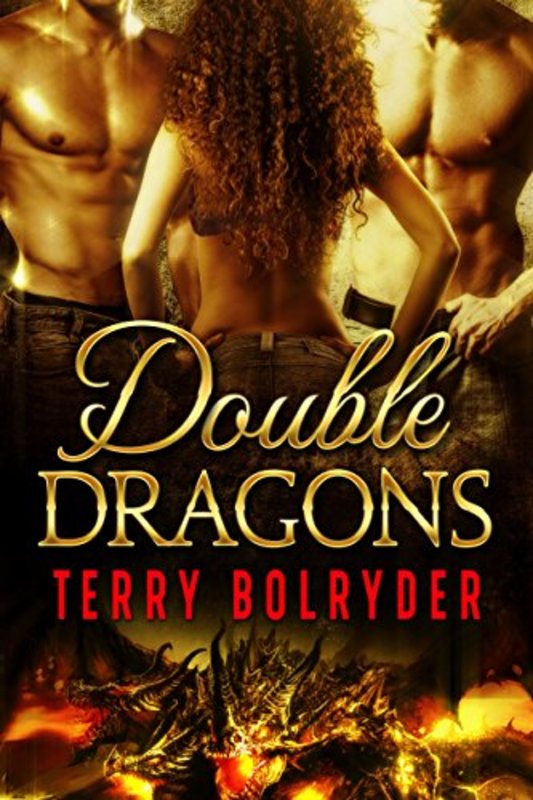 Book cover for "Double Dragons" by Terry Bolryder