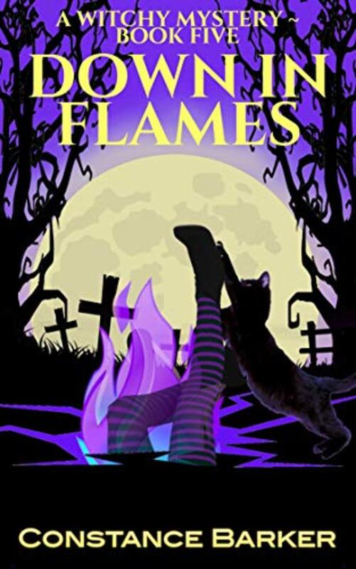 Book cover for "Down in Flames" by Constance Barker