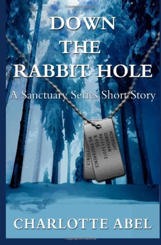 Book cover for "Down the Rabbit Hole" by Charlotte Abel