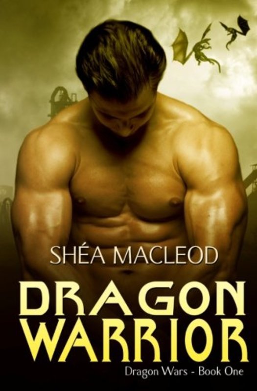 Book cover for "Dragon Warrior" by Shea MacLeod