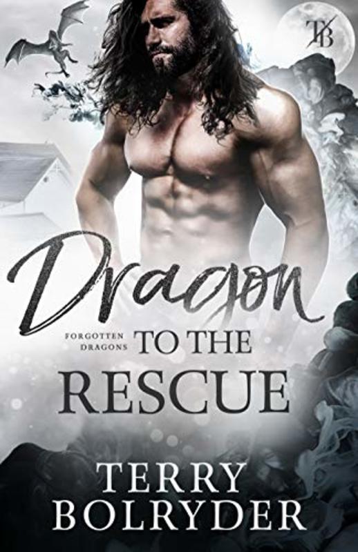 Book cover for "Dragon to the Rescue" by Terry Bolryder