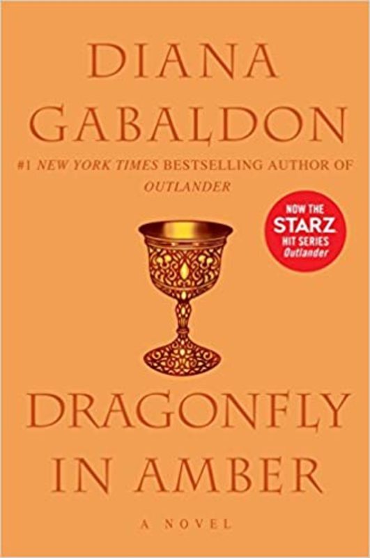 Book cover for "Dragonfly in Amber"