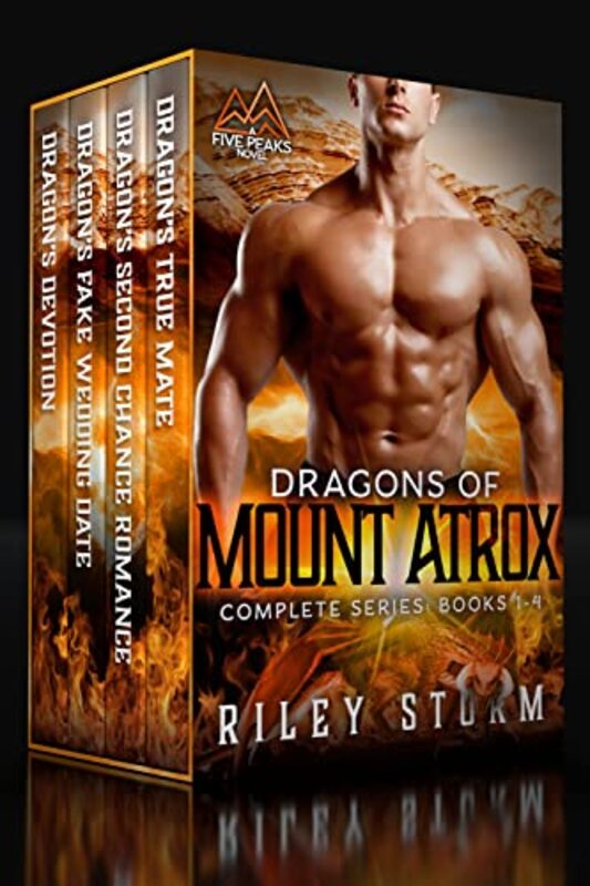 Riley Storm book cover