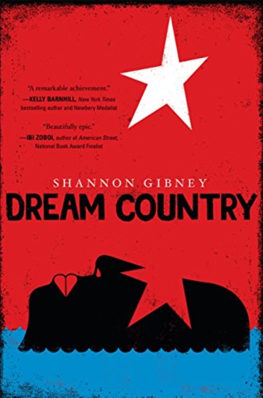 Book cover for "Dream Country" by Shannon Gibney