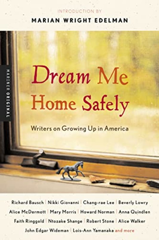 Book cover for "Dream Me Home Safely" by Susan Richards Shreve