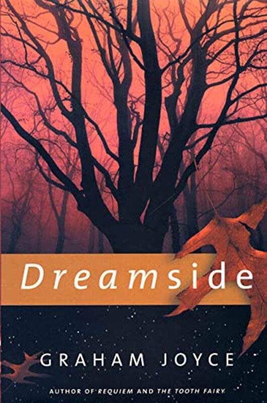 Book cover for "Dreamside" by Graham Joyce