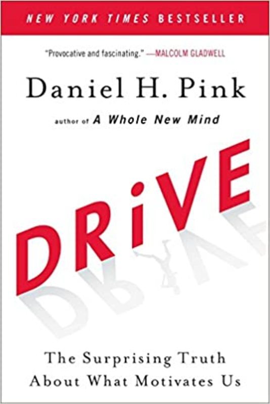 Book cover for "Drive"