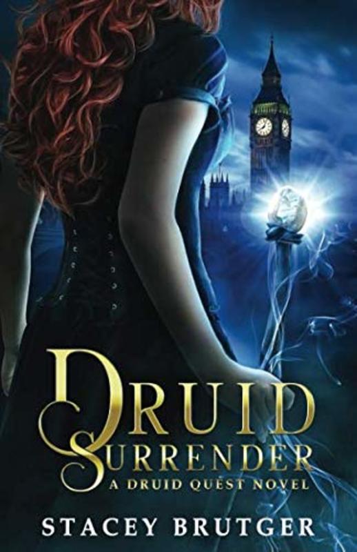 Book cover for "Druid Surrender" by Stacey Brutger
