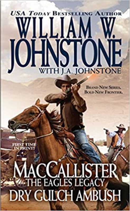 Book cover for "Dry Gulch Ambush" by J A Johnstone