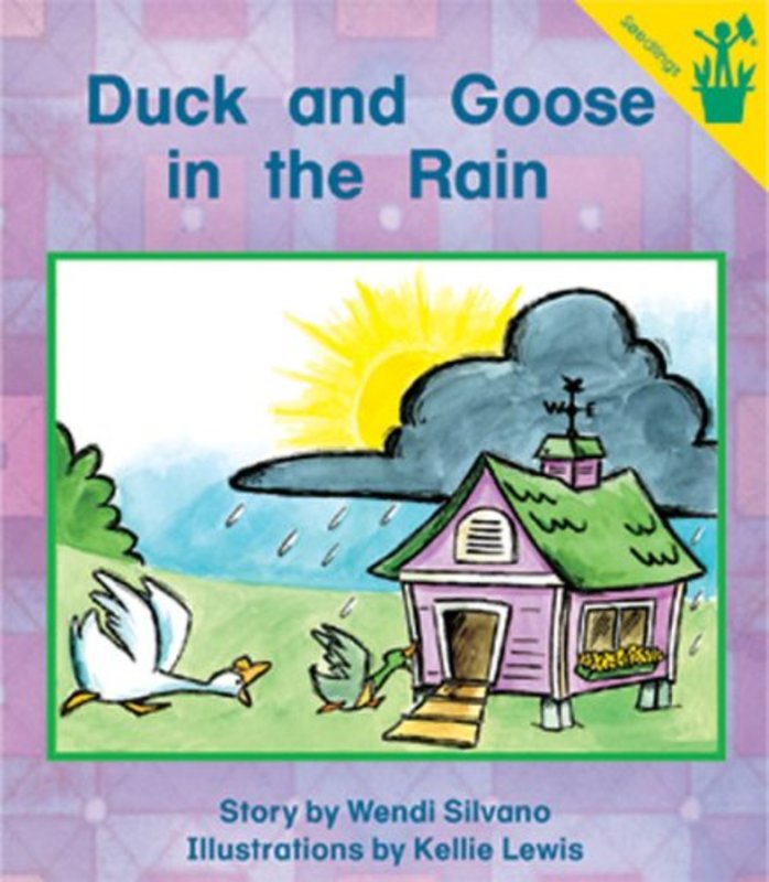Book cover for "Duck and Goose in the Rain" by Wendi Silvano