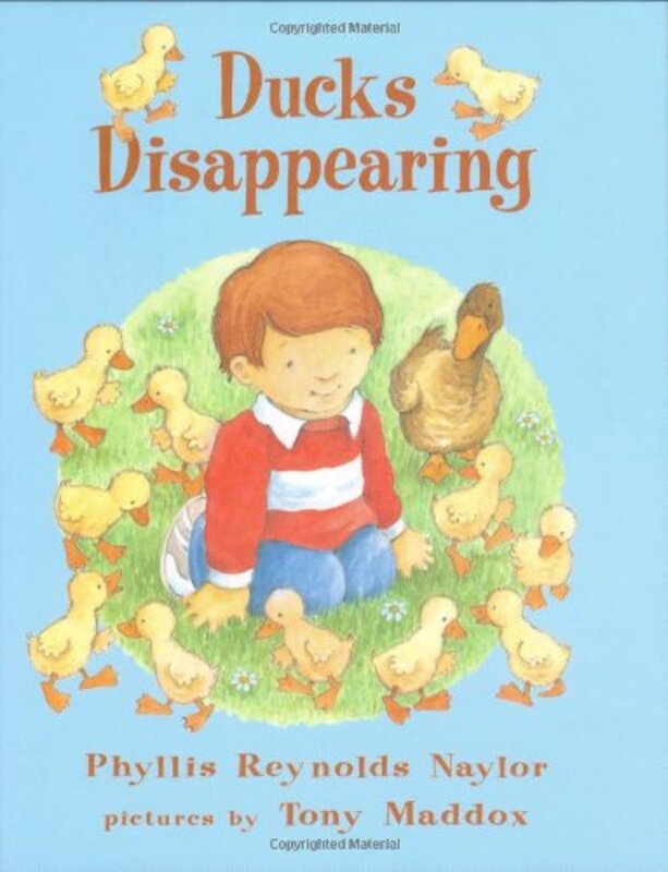Book cover for "Ducks Disappearing" by Phyllis Reynolds Naylor