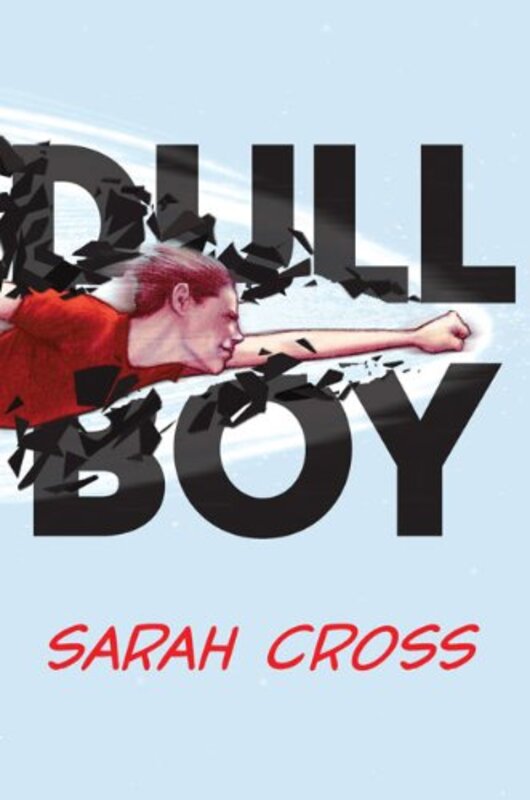 Book cover for "Dull Boy" by Sarah Cross