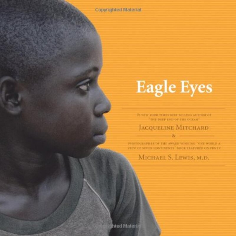 Book cover for "Eagle Eyes" by Jacquelyn Mitchard