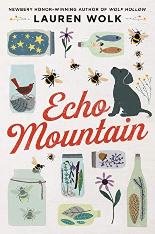 Lauren Wolk book cover