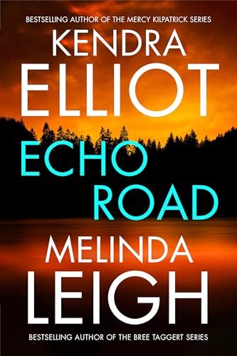 Book cover for "Echo Road" by Melinda Leigh