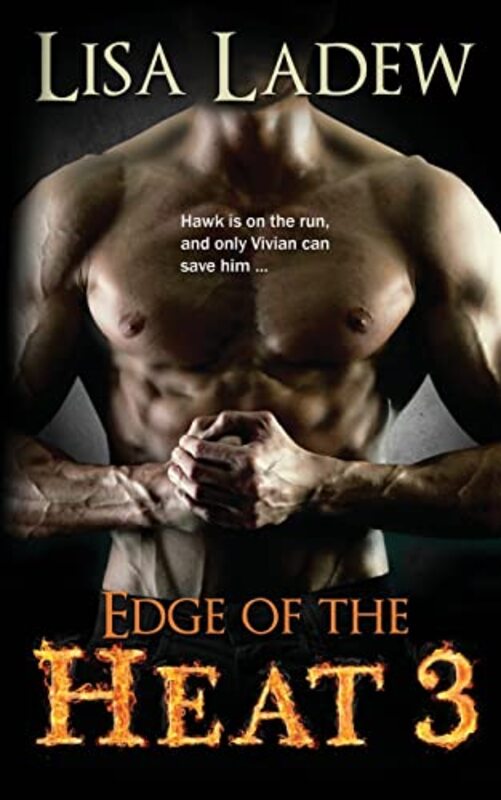 Book cover for "Edge of the Heat 3" by Lisa Ladew
