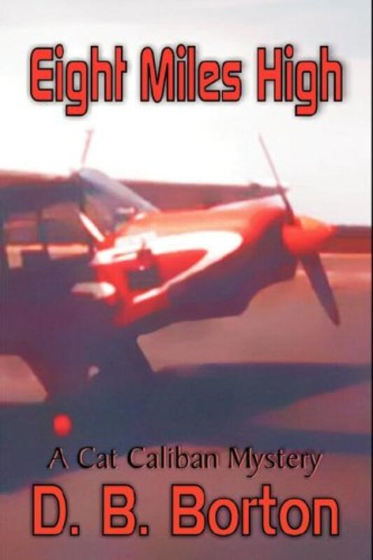 Book cover for "Eight Miles High" by DB Borton