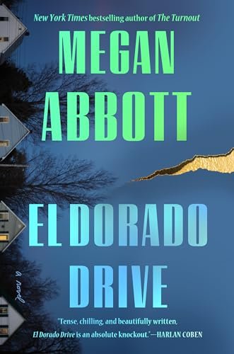 Megan Abbott book cover