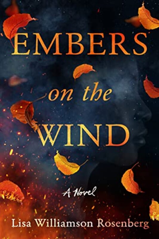 Lisa Williamson Rosenberg book cover