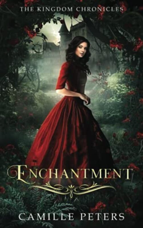 The Kingdom Chronicles book cover