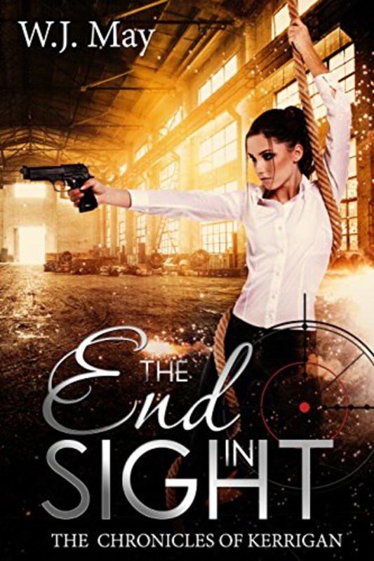 Book cover for "End In Sight" by WJ May