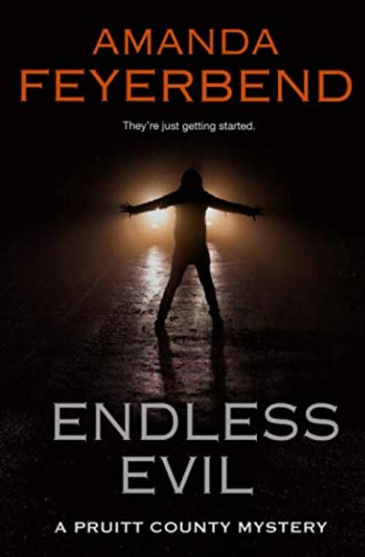 Book cover for "Endless Evil" by Amanda Feyerbend