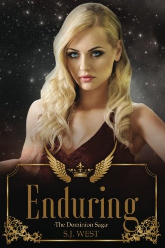 Book cover for "Enduring" by SJ West