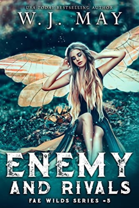 Book cover for "Enemy and Rivals" by WJ May