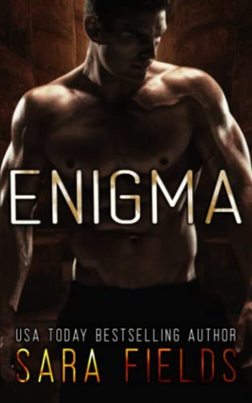Book cover for "Enigma" by Sara Fields