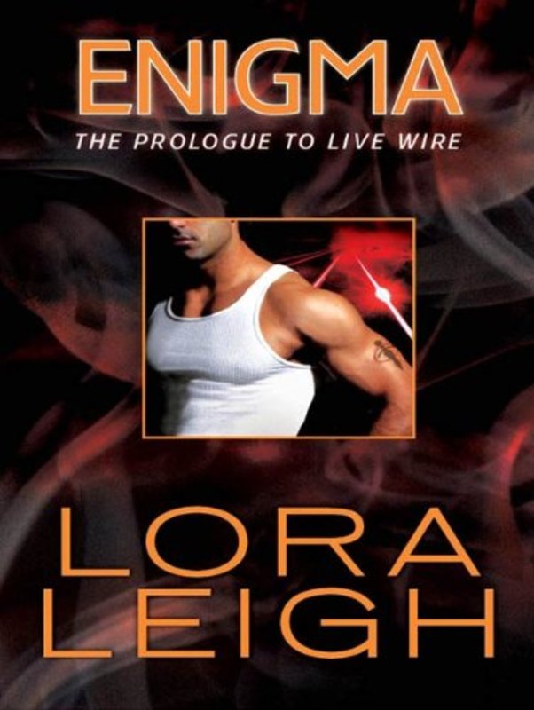 Book cover for "Enigma" by Lora Leigh