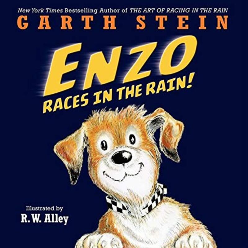 Garth Stein book cover