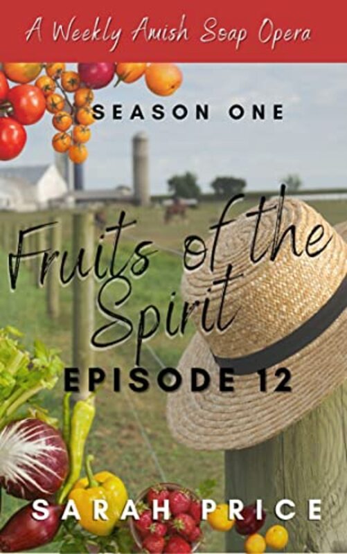 Book cover for "Episode 12" by Sarah Price