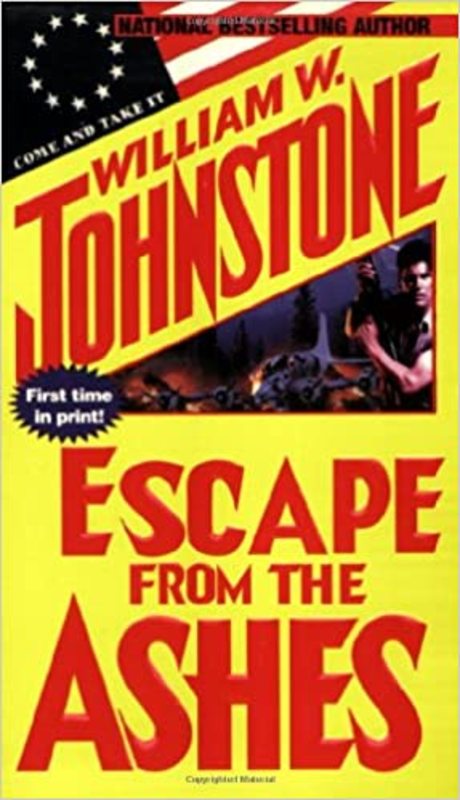 Ashes book cover