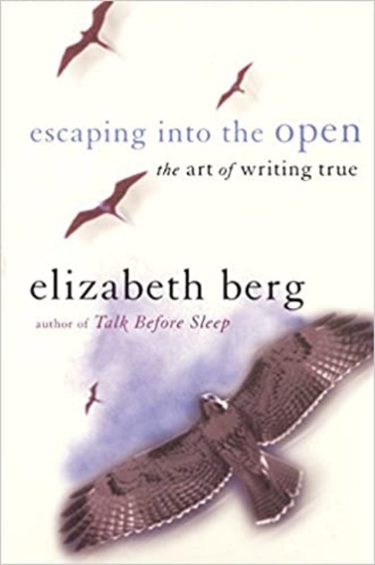 Book cover for "Escaping Into the Open" by Elizabeth Berg