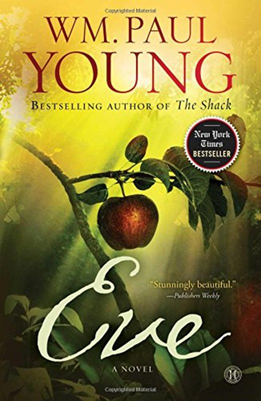 William P Young book cover