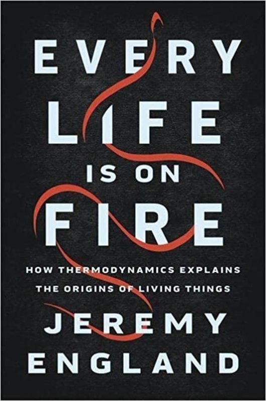 Book cover for "Every Life Is on Fire" by Jeremy England