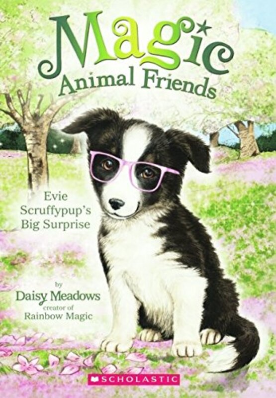 Book cover for "Evie Scruffypup's Surprise" by Daisy Meadows