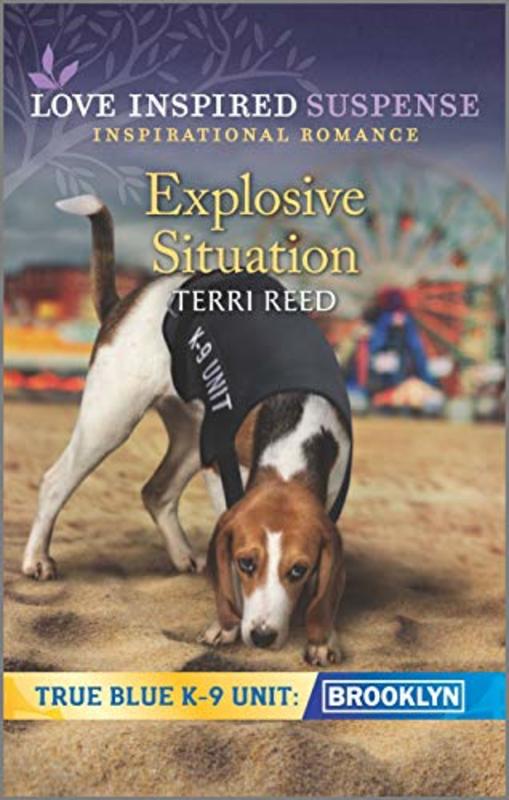 Book cover for "Explosive Situation" by Terri Reed